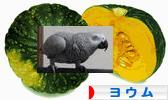 にほんブログ村 鳥ブログ ヨウムへ