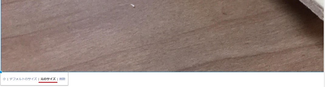 元のサイズ