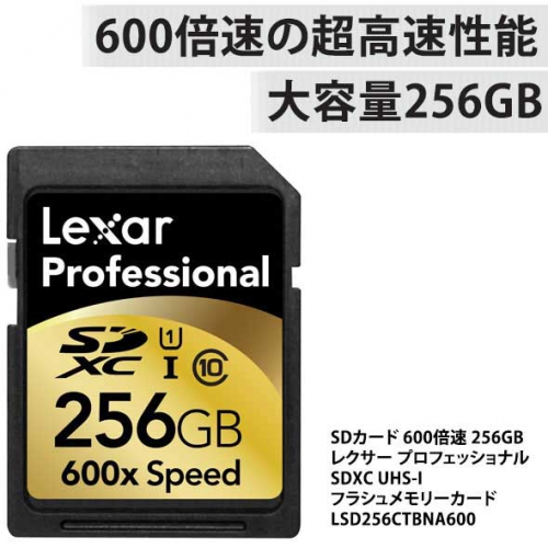 256GB,メモリ,SD,カード,大容量,高速,レクサー