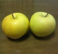 161201_1950_01[62]_convert_20161201204623