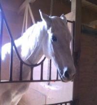 170114_1416_02[200]1_convert_20170114203909