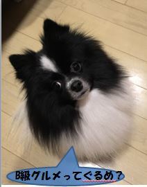 20161207_1.jpg