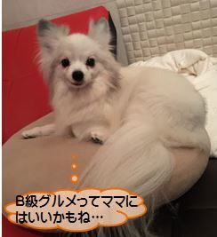 20161207_2.jpg