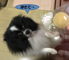 2016121516_2.png