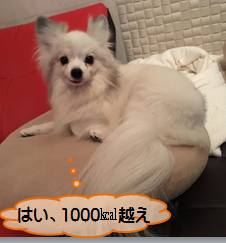 2016121516_4.png