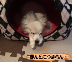 20161218_2.jpg