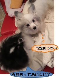 20170110_1.png
