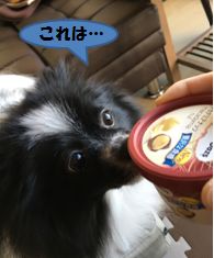 20170131_2.jpg