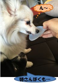 20170131_3.jpg