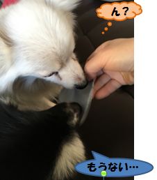 20170131_4.jpg