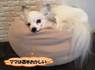 20170202_1.jpg