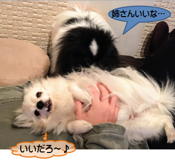 20170223_1.png