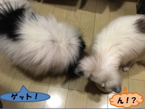 20170302_3.jpg