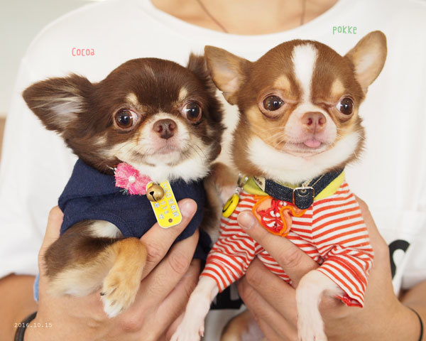 お姉ちゃんお兄ちゃん