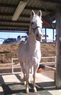 170219_1434_01[293]1_convert_20170219223359