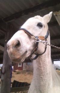 170226_1422_03[311]_convert_20170226224736