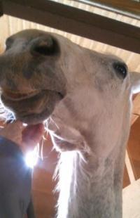 170311_1457_01[338]_convert_20170311221125