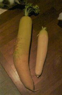 170311_1828_02[336]_convert_20170311221151