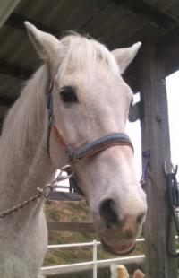 170318_1440_02[394]_convert_20170329212152