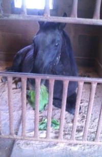 170325_1146_01[393]_convert_20170329212219