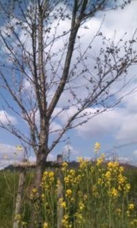 170401_1358_01[428]_convert_20170403205918