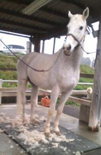 170408_1407_01[467]_convert_20170408214124