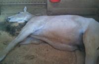 170401_1056_02[429]_convert_20170403210055