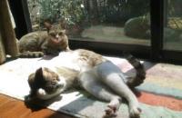 170416_1208_02[498]1_convert_20170417213050