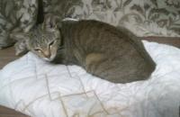 170416_2050_01[497]1_convert_20170417213113