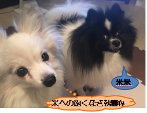 20170305_1.jpg