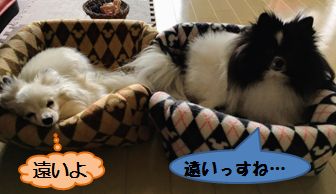 20170327_ms.jpg