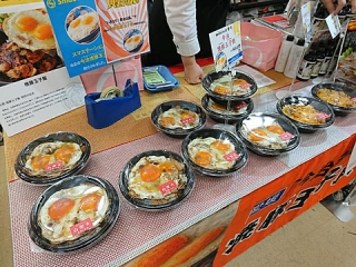 2017_03194869.jpg