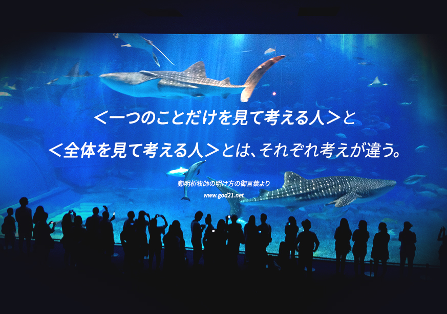 摂理
