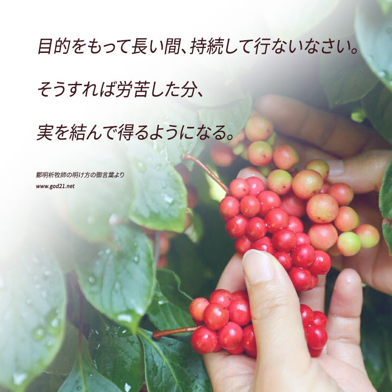 20170701-9_Ja.jpg