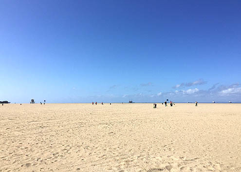 ビーチクリーンのボランティア