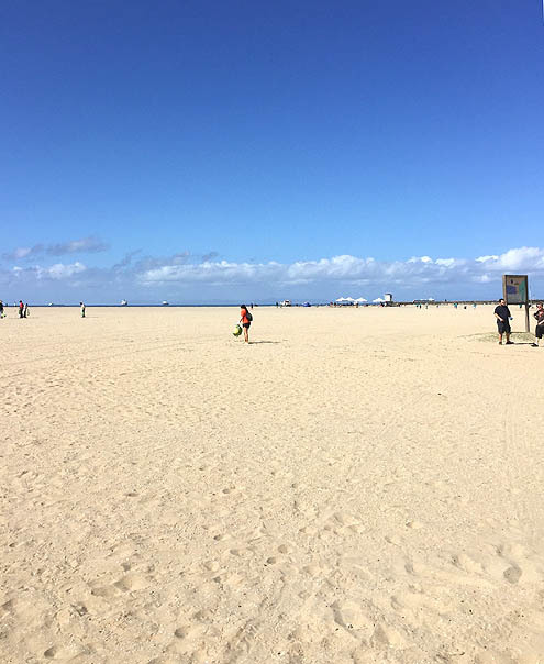 ビーチクリーンのボランティア