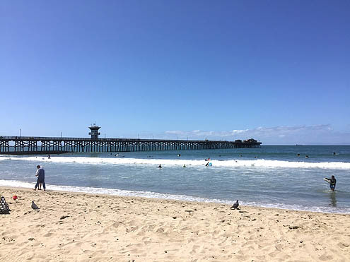 ビーチクリーンのボランティア