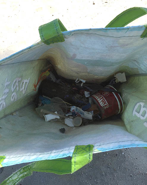 ビーチクリーンのボランティア