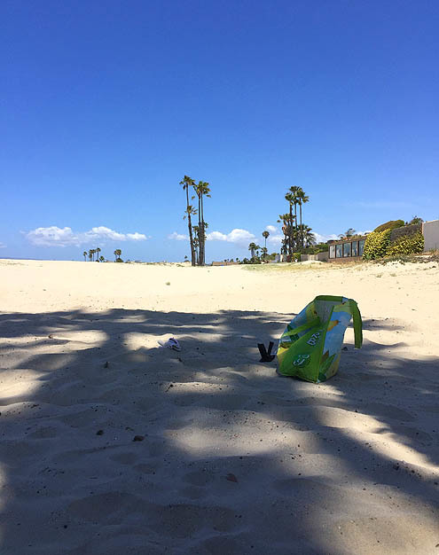 ビーチクリーンのボランティア