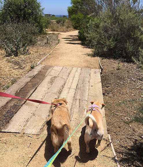 さんぽ〜道路 in 3P泥2