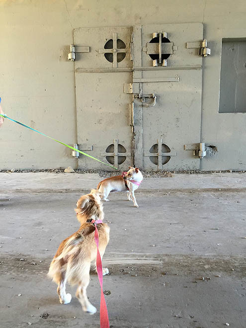 さんぽ〜道路 in 3P泥2