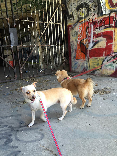 さんぽ〜道路 in 3P泥3