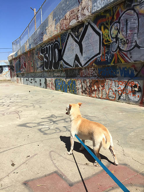 さんぽ〜道路 in 3P泥3