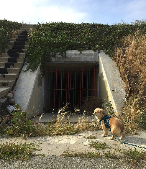 さんぽ〜道路 in 3P泥3