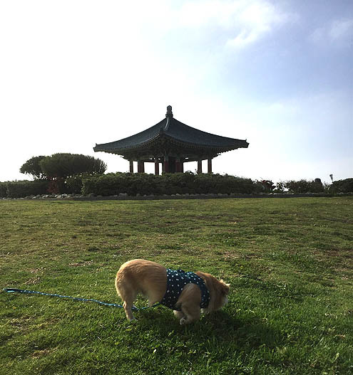 さんぽ〜道路 in 3P泥3