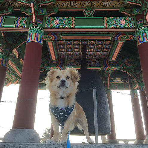 さんぽ〜道路 in 3P泥3