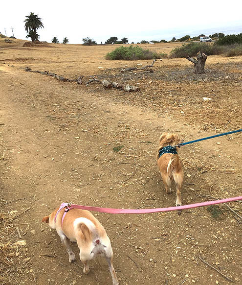 さんぽ〜道路 in 3P泥１