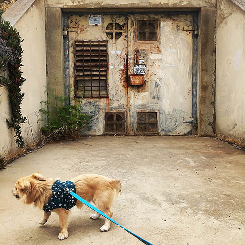 さんぽ〜道路 in 3P泥１