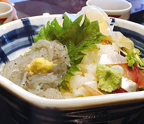 生しらす@わだつみ