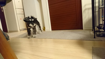 20161216 125957